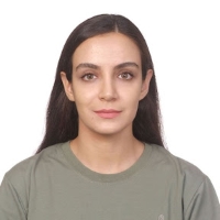 Image for Fatemeh Babaei